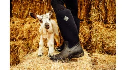 Muck Boots Arctic Adventure Rubber Boot - Womens -Muck Boots opplanet muck boots arctic adventure rubber boot womens black 9 waa 000 blk 090 av 7