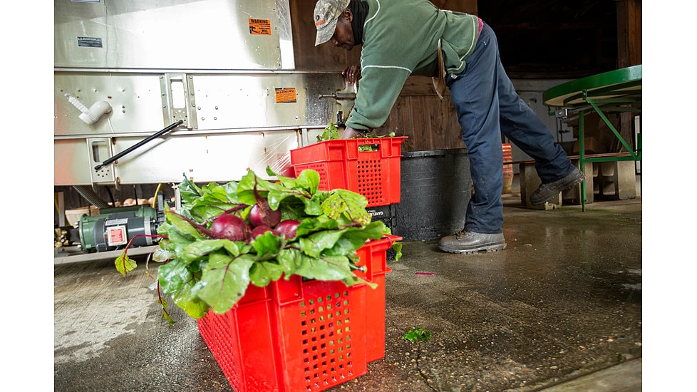 Muck Boots Chore Classic 6in Plain Toe Boots - Men's 8 Muck Boots Chore Classic 6in Plain Toe Boots - Men's - Image 8