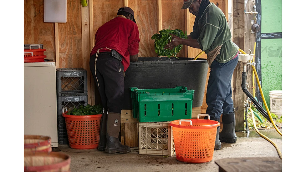 Muck Boots Chore Classic Tall Xpress Cool Boot - Men's 10 Muck Boots Chore Classic Tall Xpress Cool Boot - Men's - Image 10