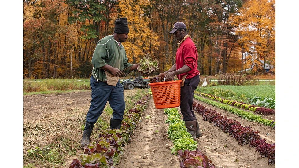 Muck Boots Chore Classic Tall Xpress Cool Boot - Men's 16 Muck Boots Chore Classic Tall Xpress Cool Boot - Men's - Image 16