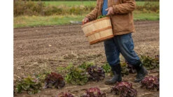 Muck Boots Chore Mid Wateproof Rubber Work Boot - Men's -Muck Boots opplanet muck boots chore mid wateproof rubber work boot mens black 9 chm 000a bl 090 av 7