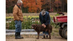 Muck Boots Chore Mid Wateproof Rubber Work Boot - Men's -Muck Boots opplanet muck boots chore mid wateproof rubber work boot mens black 9 chm 000a bl 090 av 8