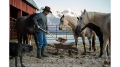 Muck Boots Edgewater Multi-Purpose Boot - Men's 35 Muck Boots Edgewater Multi-Purpose Boot - Men's -Muck Boots opplanet muck boots edgewater multi purpose boot mens moss 9 ecm 300 grn 090 av 10