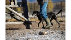 Muck Boots Edgewater Multi-Purpose Boot - Men's 37 Muck Boots Edgewater Multi-Purpose Boot - Men's -Muck Boots opplanet muck boots edgewater multi purpose boot mens moss 9 ecm 300 grn 090 av 8